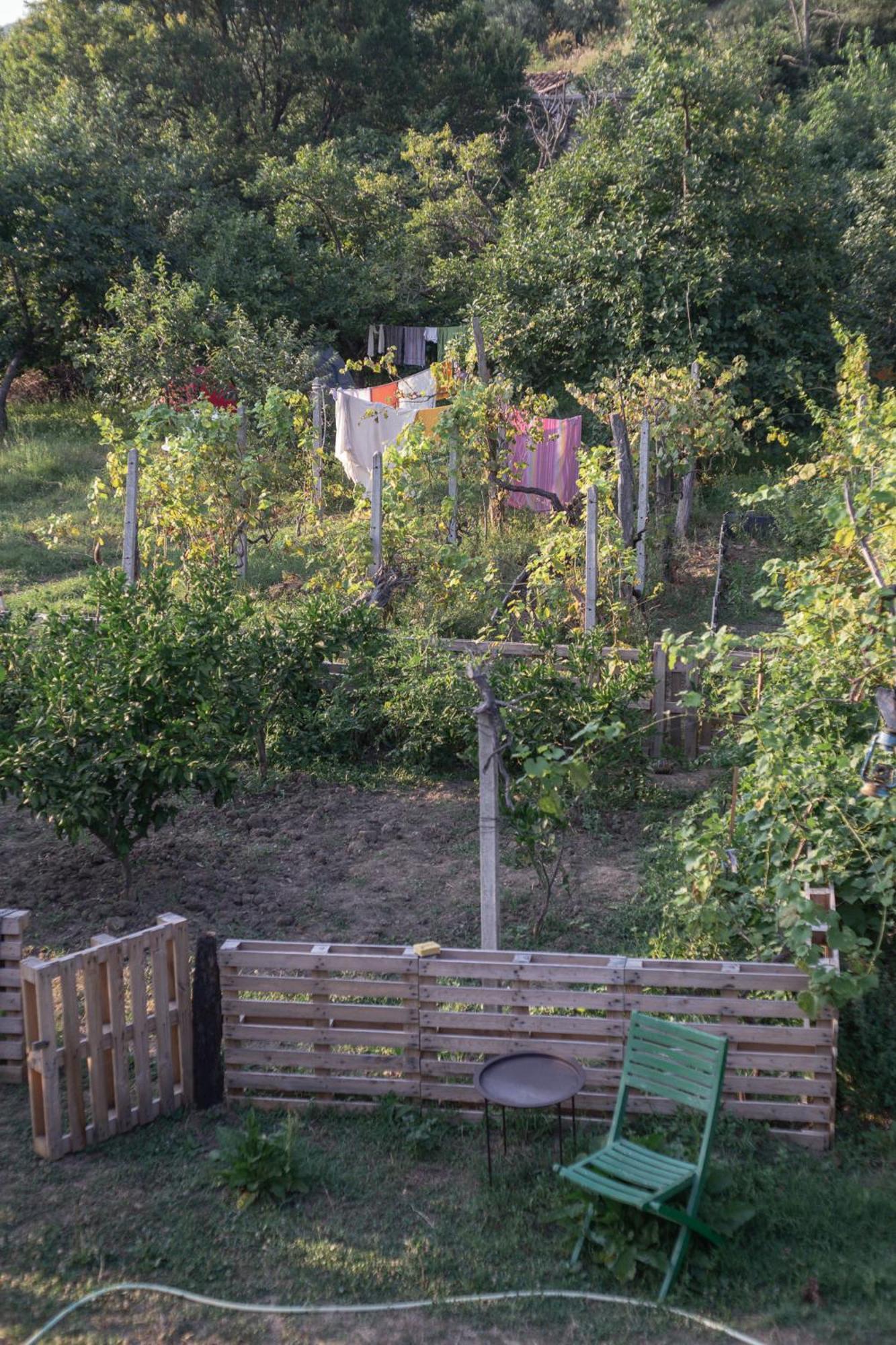 The House In The Village Pellumbas Zewnętrze zdjęcie